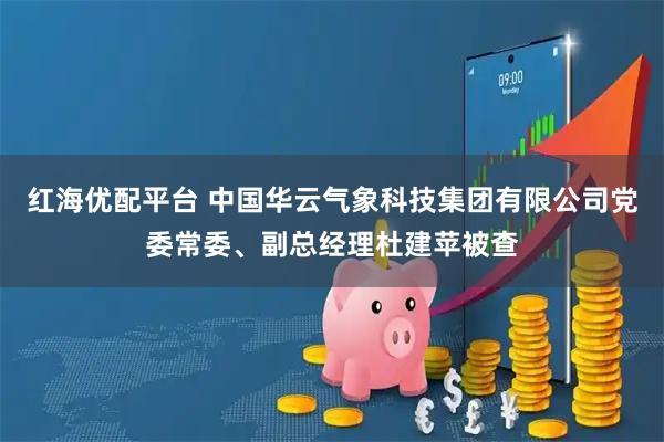 红海优配平台 中国华云气象科技集团有限公司党委常委、副总经理杜建苹被查