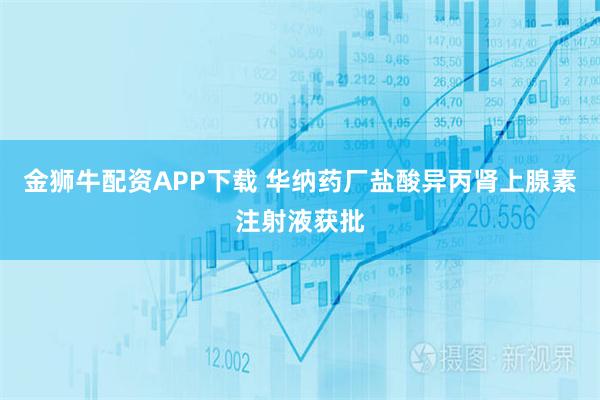 金狮牛配资APP下载 华纳药厂盐酸异丙肾上腺素注射液获批